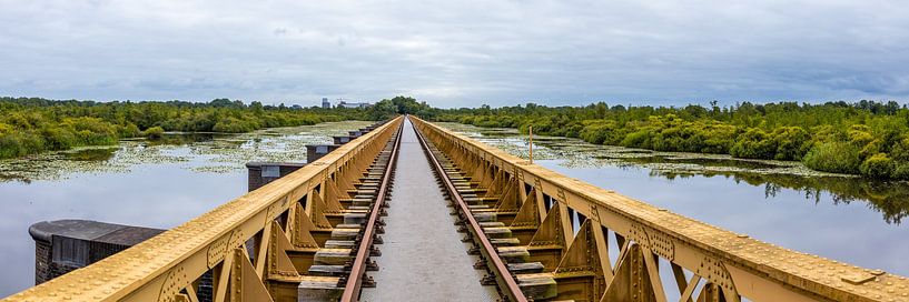 Die Brücke von Moerputten im Panorama von Patrick Fotografeert