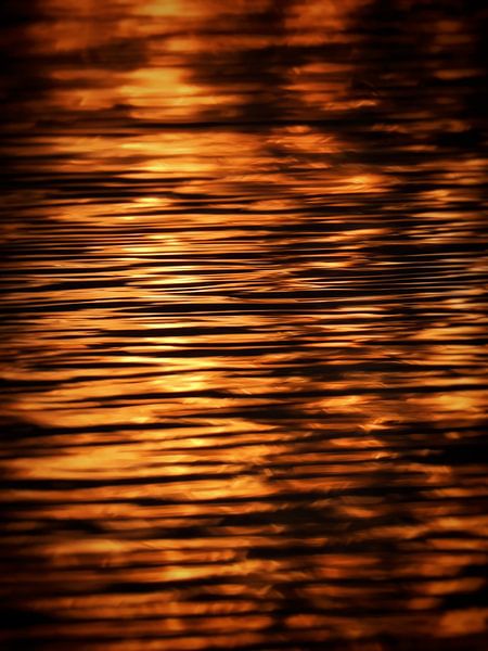 Ondes sur l'eau par Maickel Dedeken