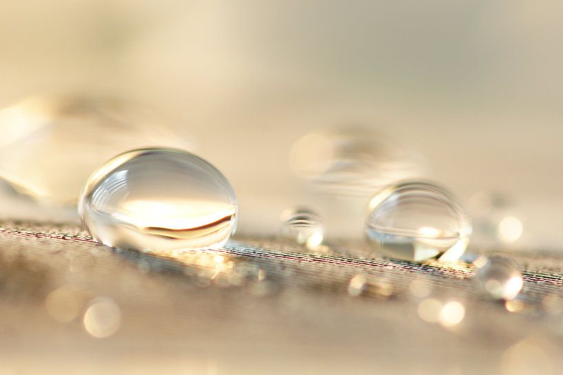 Bubble fun van Carla Mesken-Dijkhoff