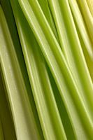 Celery