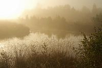 Engbertsdijksvenen 5