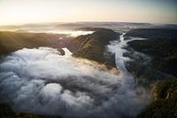 Summer morning Saarschleife