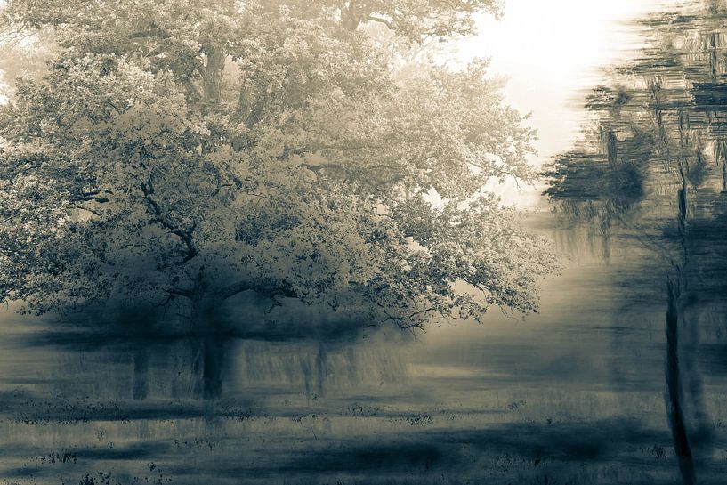 Planken Wambuis Teil 157 von Tania Perneel