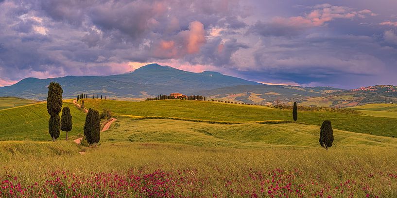 Bauernhof Podere Terrapille von Henk Meijer Photography