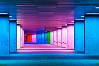 Niederländisches Institut für Architektur, Rotterdam