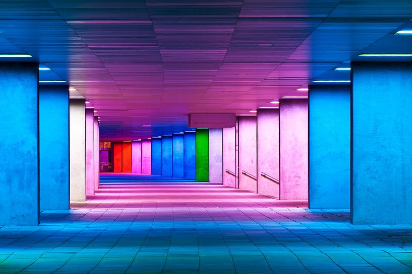 Institut néerlandais d'architecture, Rotterdam par Anton de Zeeuw