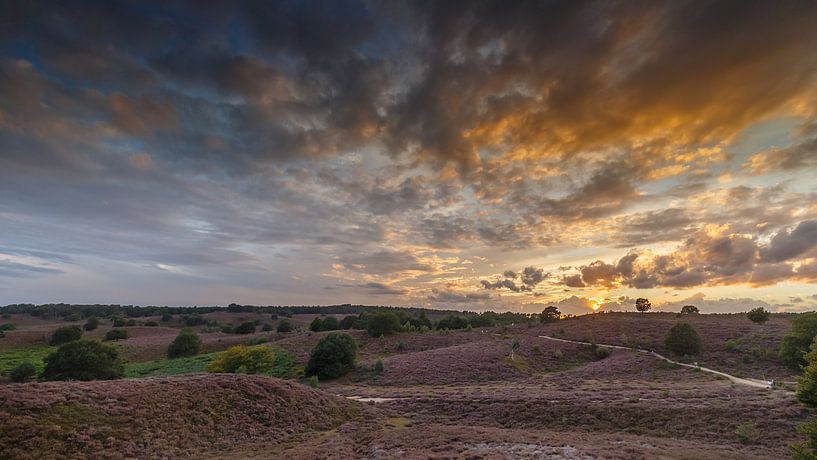 La Posbank. par Menno Schaefer