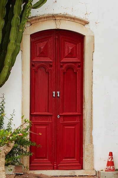 rode deur by Bart Colson