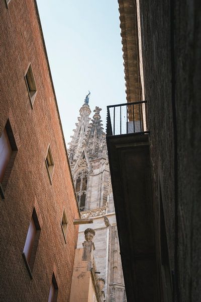 Barcelona Cathedral by Jarrik Bijsterbosch