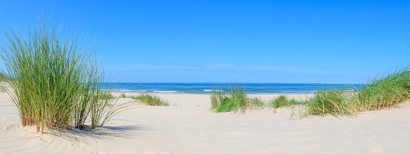 Panoramablick auf den Strand im Sommer an der Nordsee von Sjoerd van der Wal Fotografie