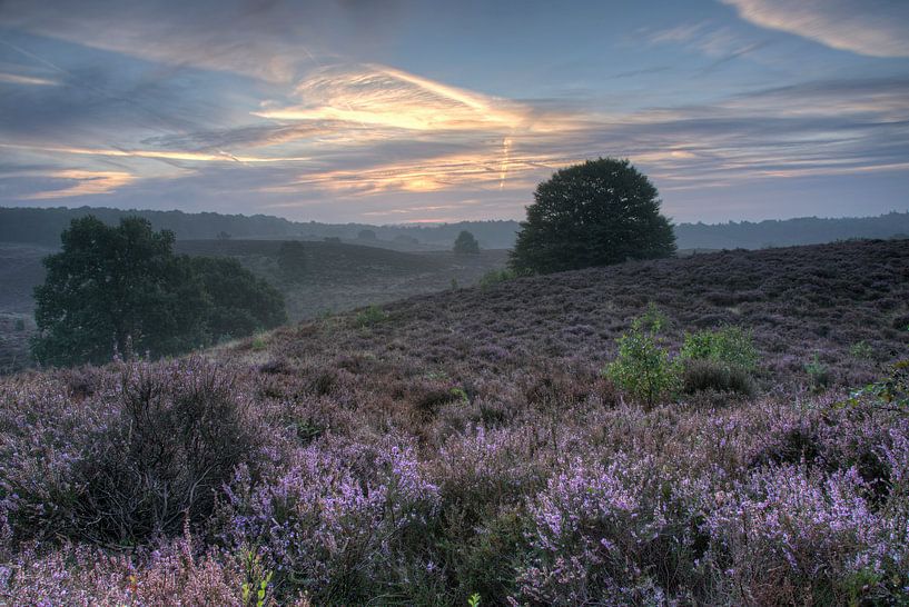 Posbank von Miranda Bos