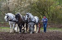 werken met een driespan