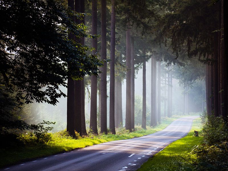 Ein nebeliger Tag von Tvurk Photography