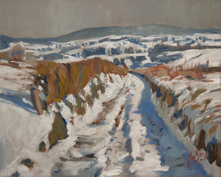 Landstraße bei Diependal von Nop Briex