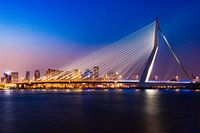 Erasmusbrücke Skyline Rotterdam