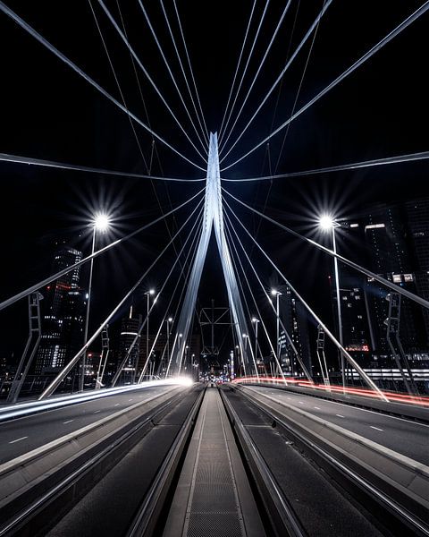 Pont Erasmus par Jeroen van Dam