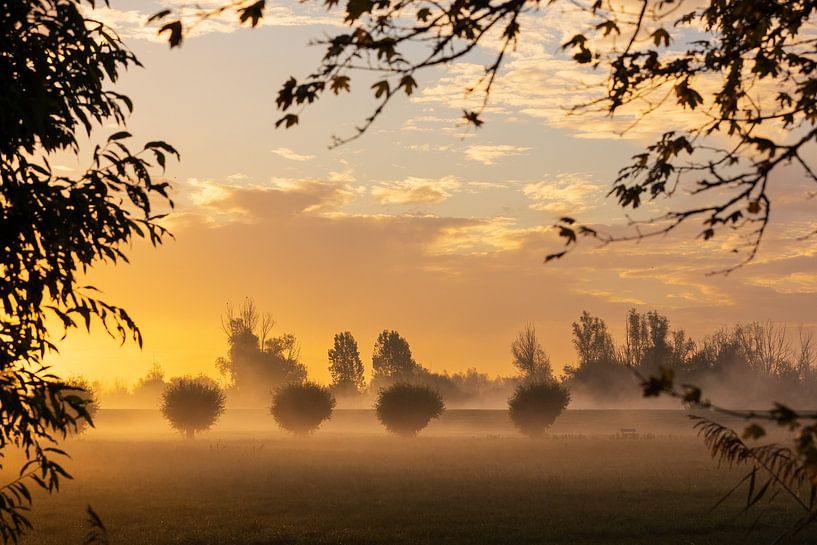 Foggy morning Opwierde Appingedam 2 by Johan van der Linde