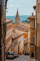 Urbino