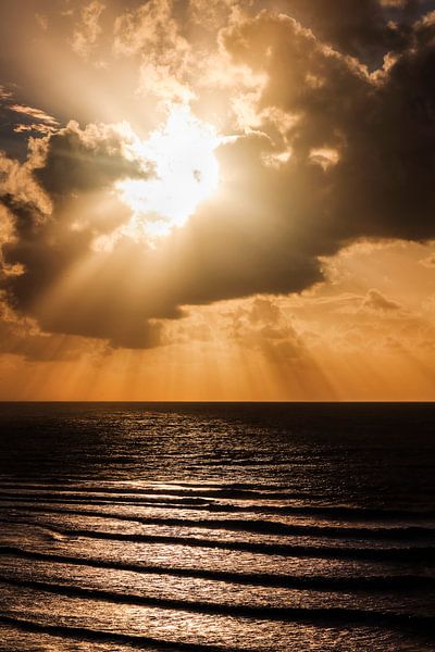 Sunburst by Cho Tang