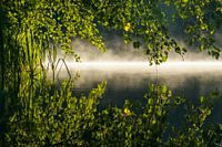 Early morning mist at the lake