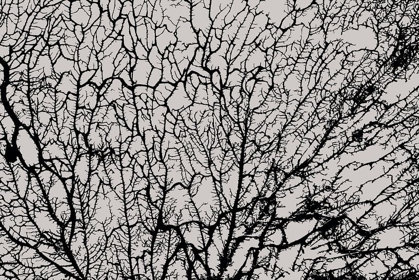 Die Seele des Waldes von Mad Dog Art