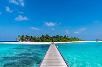 Small island in the middle of paradise