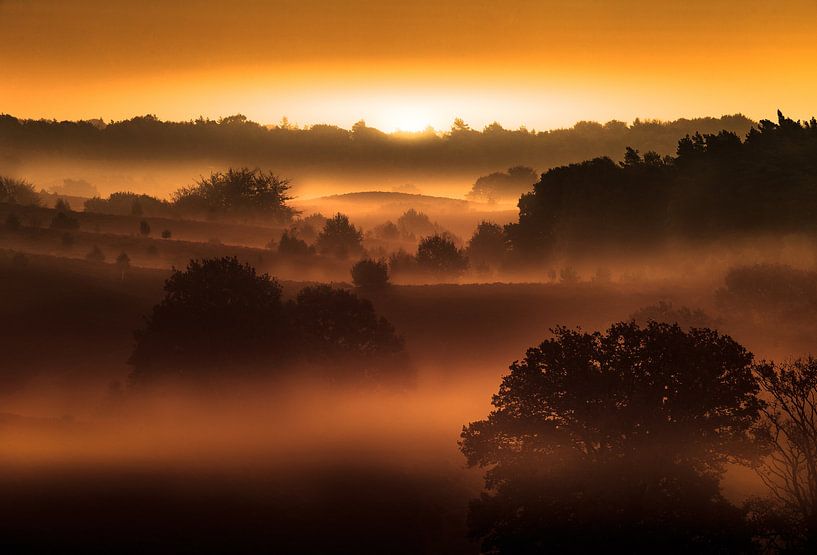 Nebelbank von Martijn van Steenbergen