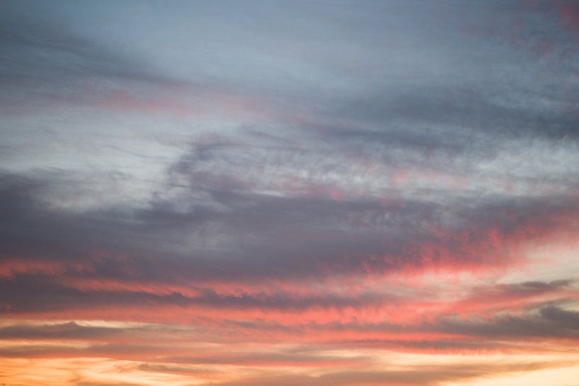 Evening Red by Ellinor Creation