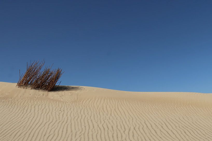 Nice weather! by Yvonne Blokland