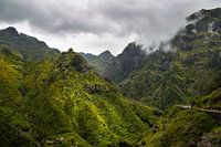 Grüne Berge (Madeira)