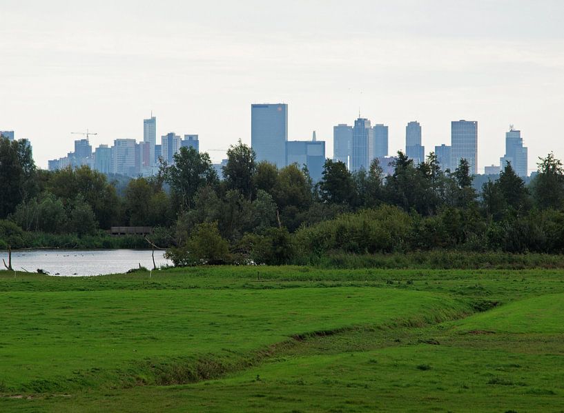 Skyline van Rotterdam van Rinke Velds