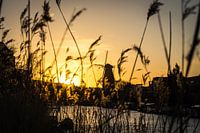 Brouwerij 't IJ in Amsterdam
