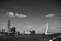 Vue du pont Erasmus et de la ville de Rotterdam