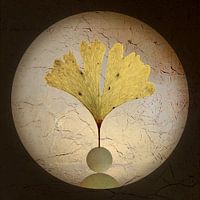 Goldenes Blatt. Ginkgo. Japandi. Blätter.