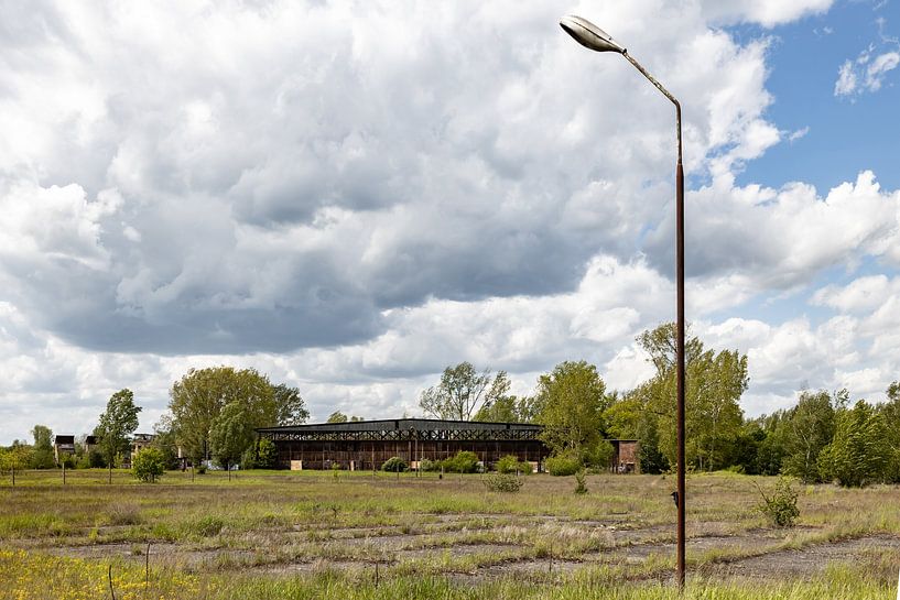 12 by Frank Herrmann