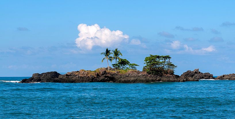Costa Rica: Corcovado National Park par Maarten Verhees