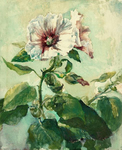 Studie über rosa Stockrosen im Sonnenlicht, aus der Natur, John La Farge von Meisterhafte Meister