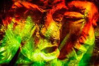 Verwrongen gezichten