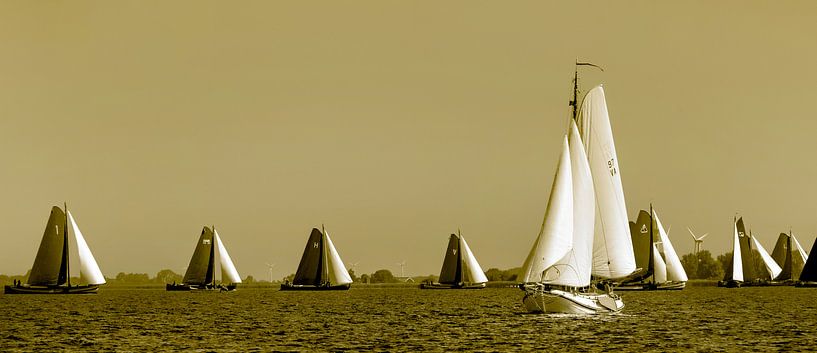 Zeilen by Harrie Muis