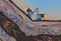 Kussende Paard van Marken