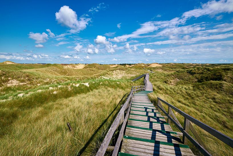 Amrum - Dünenlandschaft am Meer bei Norddorf von Reiner Würz / RWFotoArt