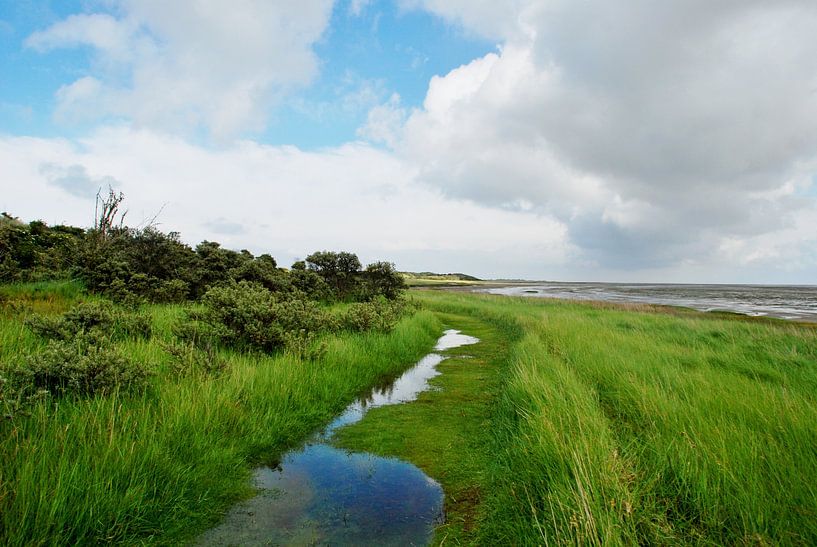 Wattenküste von Esther's Photos