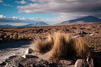 L'Altiplano bolivien en images