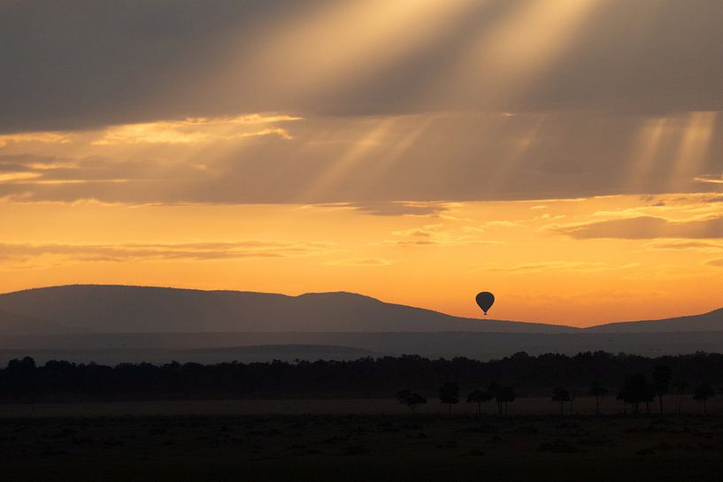 Der Morgen ist in der Masai Mara ausgebrochen. von Aline van Weert