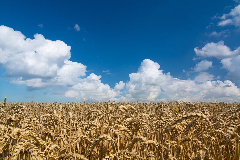 Hollandse luchten von Inge Jansen