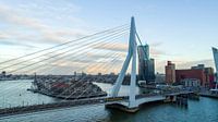 Erasmus Bridge
