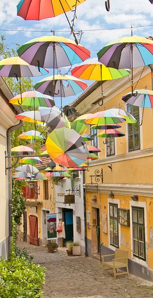 Bunte Straße in Szentendre Ungarn von Erika van Elst