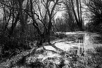 Lepelaarplassen, Almere