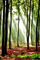 Une lueur d'espoir - en couleur