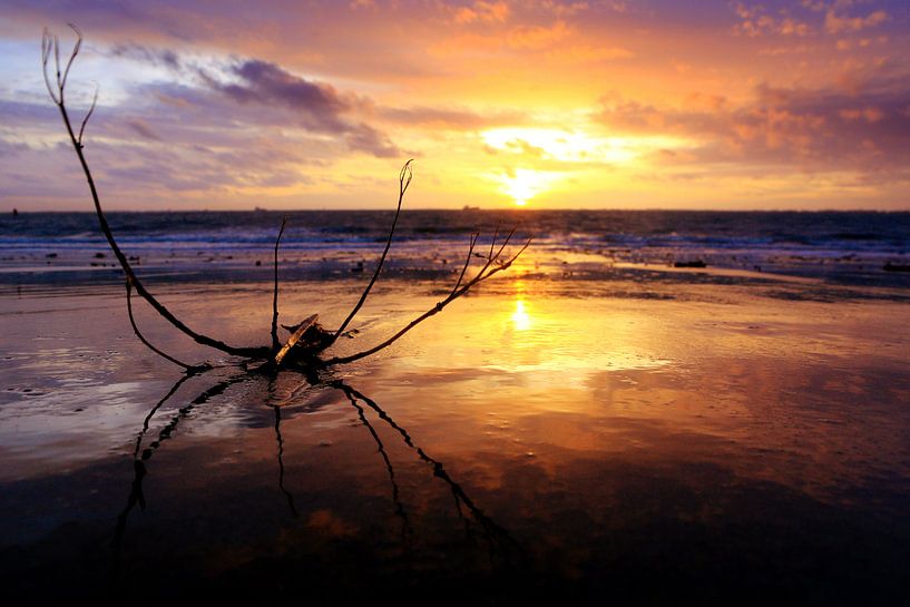 beautiful sunset...  par Els Fonteine